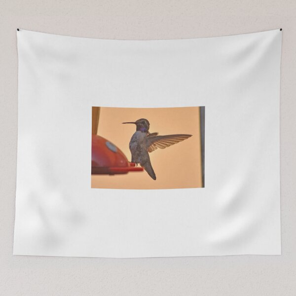 Item preview, MALE HUMMINGBIRD ANNA'S IN ANGEL WING POSE designed and sold by JAYMILO.