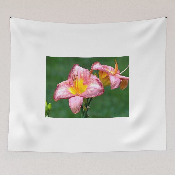 Item preview, 2 Lilies designed and sold by Frankie Cat Photography.