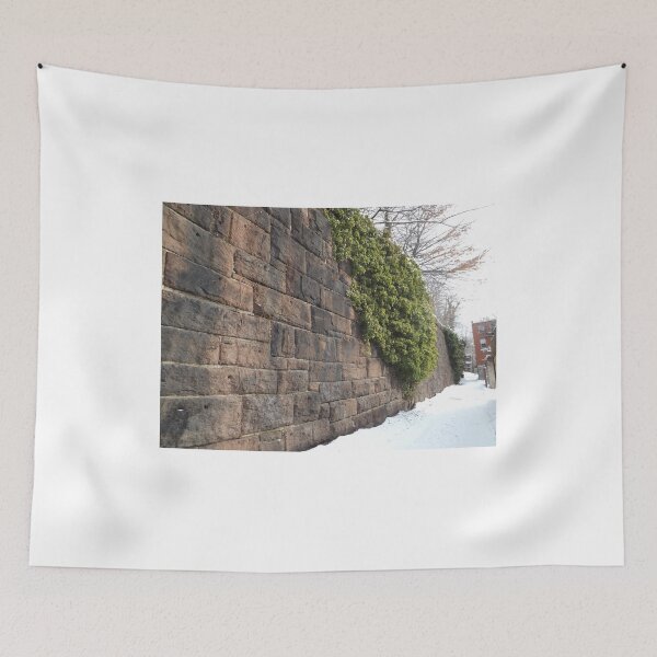 Artikelvorschau, Harsimus Stem Embankment, Snow View, Former Pennsylvania Railroad Embankment, Jersey City, New Jersey entworfen und verkauft von lenspiro.