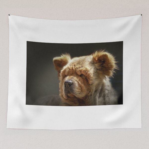 Item preview, Chow-Chow portrait designed and sold by Tamas KLAUSZ.