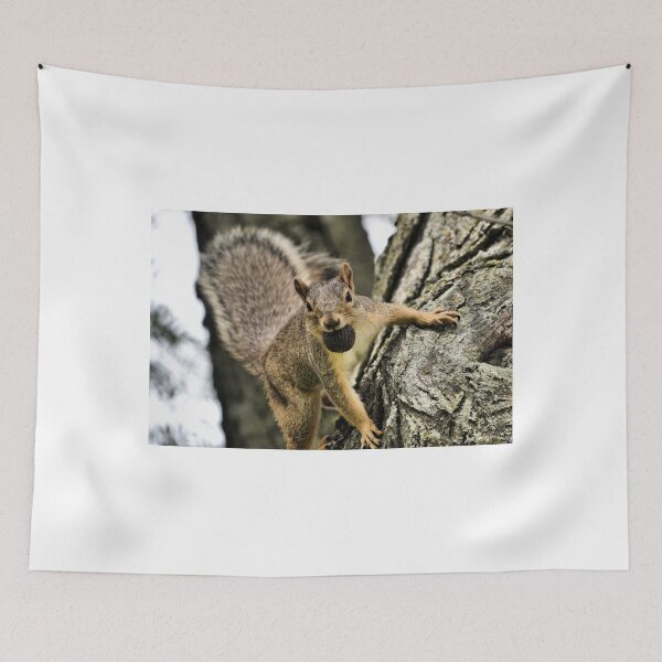 Item preview, The Playful Squirrel designed and sold by Brian Gaynor.