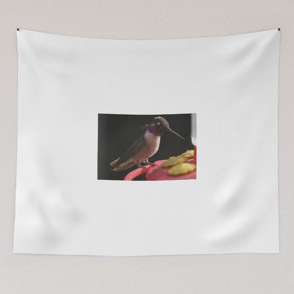 Item preview, JUVENILE MALE COSTA'S AT THE PERCH designed and sold by JAYMILO.