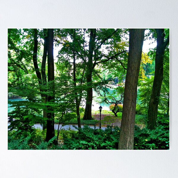 Item preview, Central Park NY designed and sold by Virginia Daniels.
