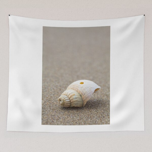 Item preview, One Little Shell designed and sold by heidipics.