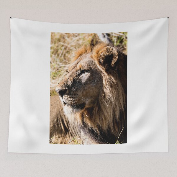 Item preview, Male Lion designed and sold by Marylou Badeaux.