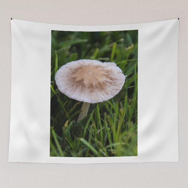 Item preview, Mystery 'Shroom! designed and sold by heatherfriedman.