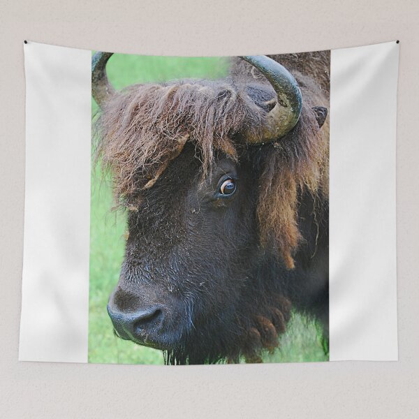 Artikelvorschau, Buffalo Head entworfen und verkauft von Cee Neuner.