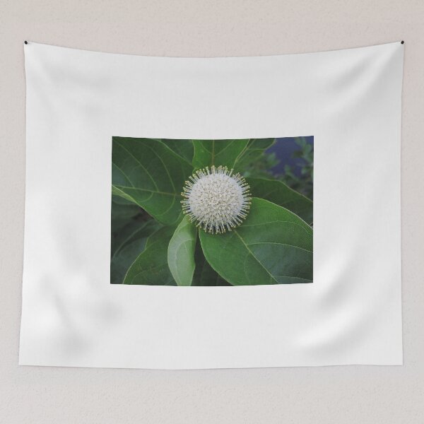 Item preview, Tennis, Anyone? designed and sold by RVogler.