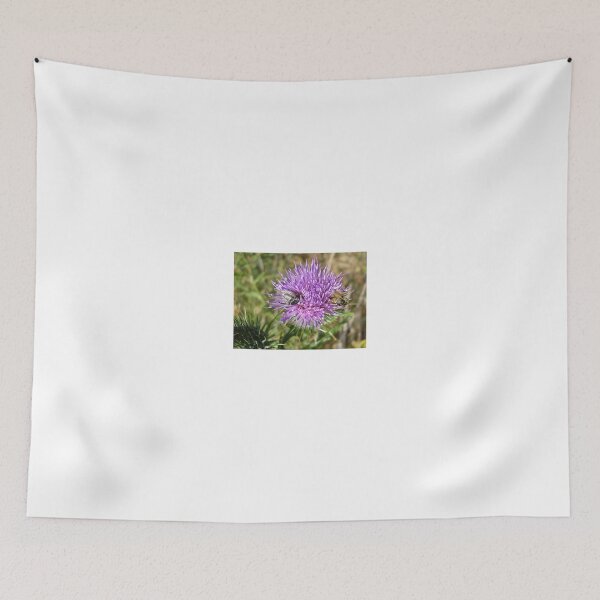 Item preview, Scotch thistle and monkey beetles designed and sold by BiodiversityRocks.