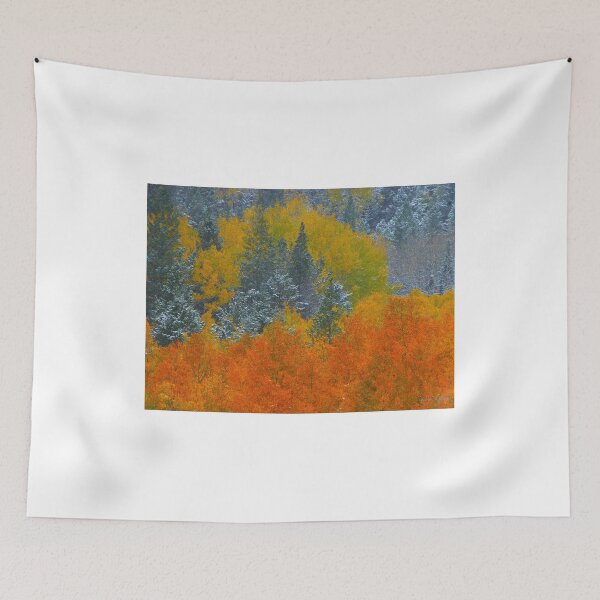Item preview, Mix of two seasons designed and sold by George Tuffy.