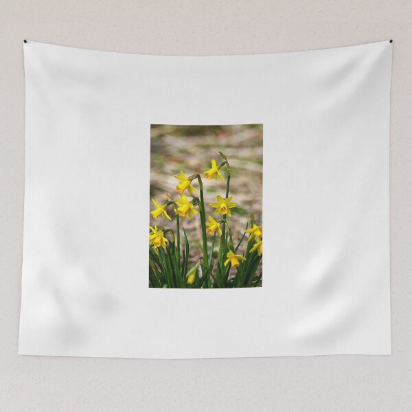 Item preview, Clump of golden daffodils designed and sold by Violaman.