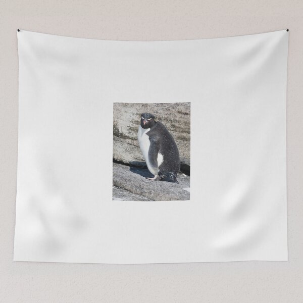 Item preview, Curious Rockhopper designed and sold by Marylou Badeaux.
