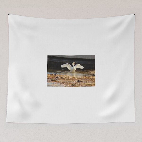 Item preview, Swan Showing Off designed and sold by Gilda Axelrod.