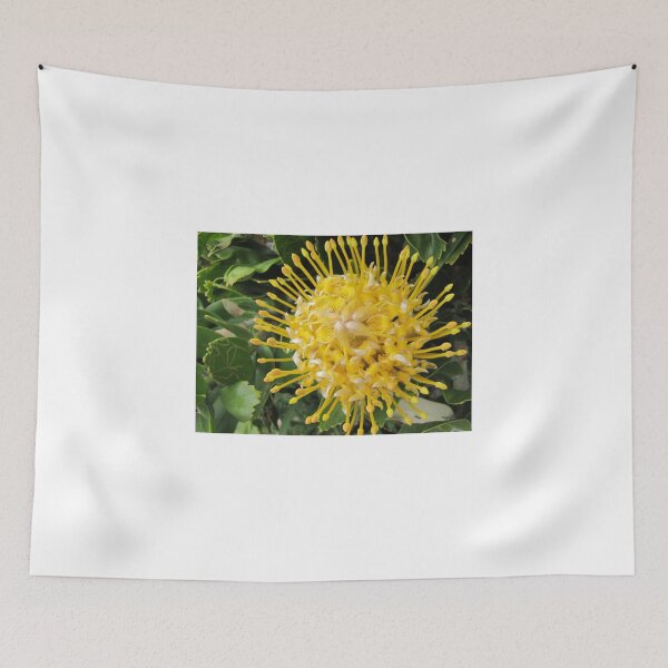 Item preview, Leucospermum conocarpodendron motif designed and sold by BiodiversityRocks.