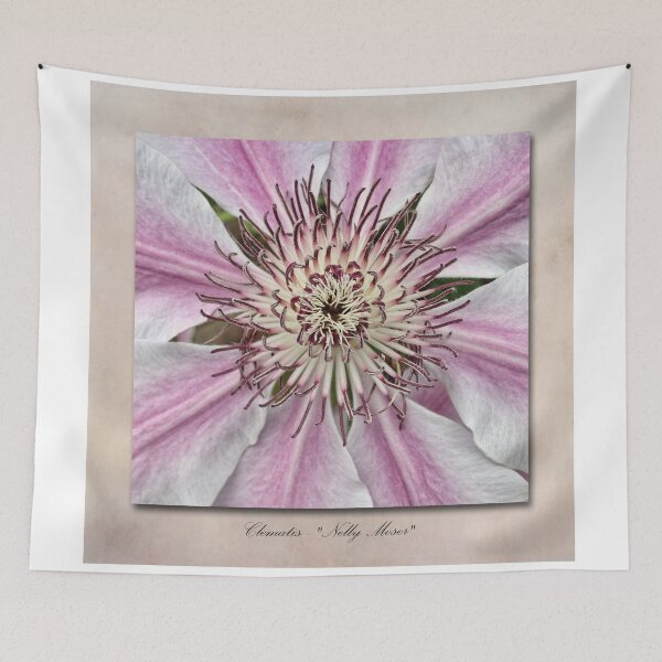 Item preview, Clematis Nelly Moser designed and sold by Creative by Design.