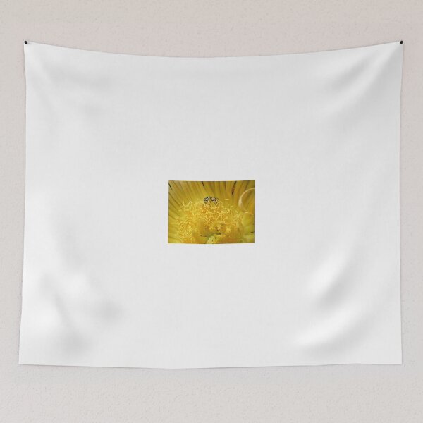 Item preview, Peek-a-Bee designed and sold by BiodiversityRocks.