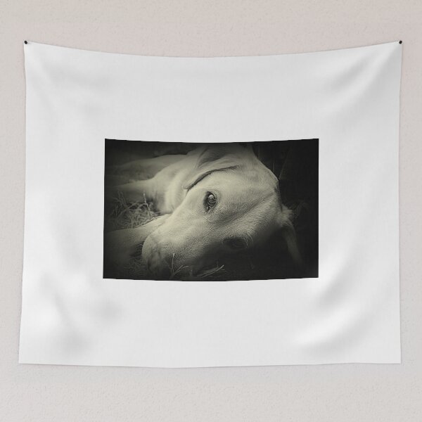 Item preview, Freddie designed and sold by Ladymoose.