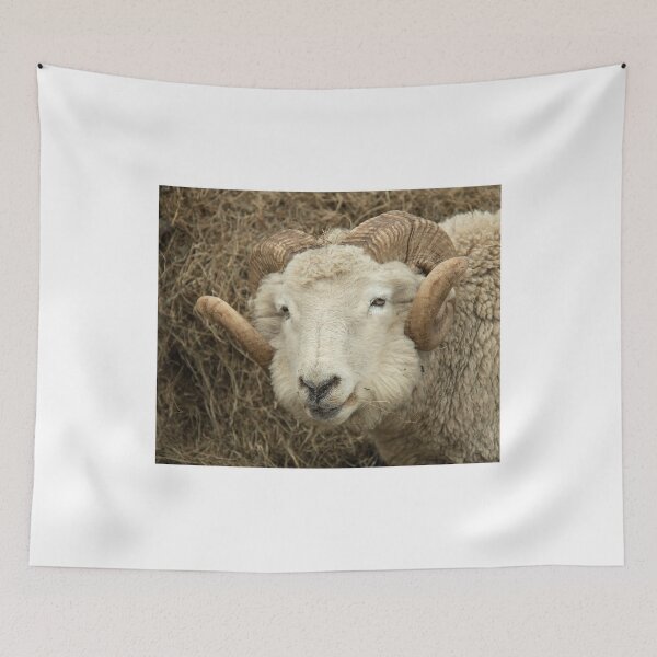 Item preview, Ram Head designed and sold by Sue Robinson.