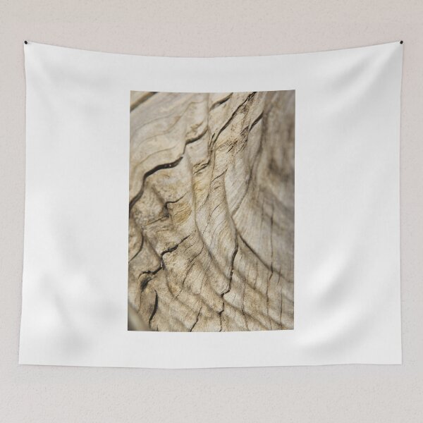 Artikelvorschau, Hardwood - Backgrounds from Nature - Wood Grain entworfen und verkauft von LivingWild.
