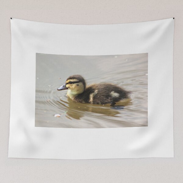 Item preview, Mallard duckling on Llangollen canal designed and sold by turniptowers.