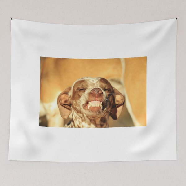 Item preview, Smiling Dog - Funny Life and Honest Joy  designed and sold by LivingWild.