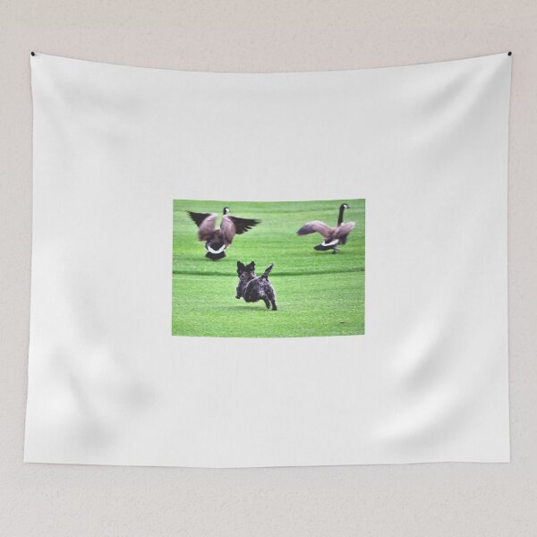 Item preview, SWEETPEE CHASING CANADA GEESE OFF GOLF COURSE designed and sold by JAYMILO.