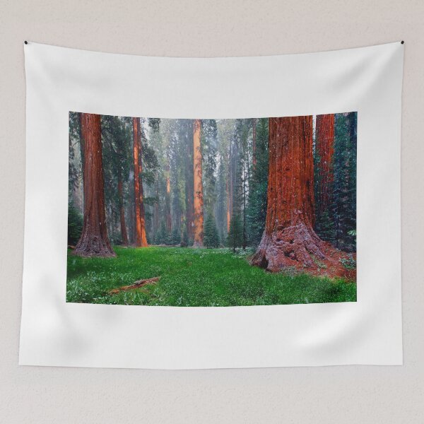 Item preview, Snow storm in Sequoia National Park designed and sold by Martin Lawrence.