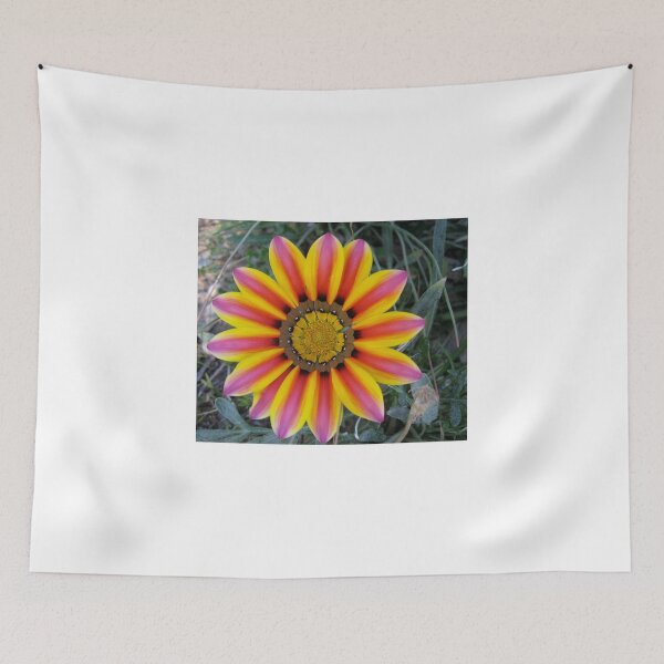 Item preview, Gazania 4 designed and sold by Heatherian.