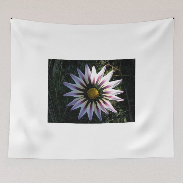 Item preview, Gazania 7 designed and sold by Heatherian.