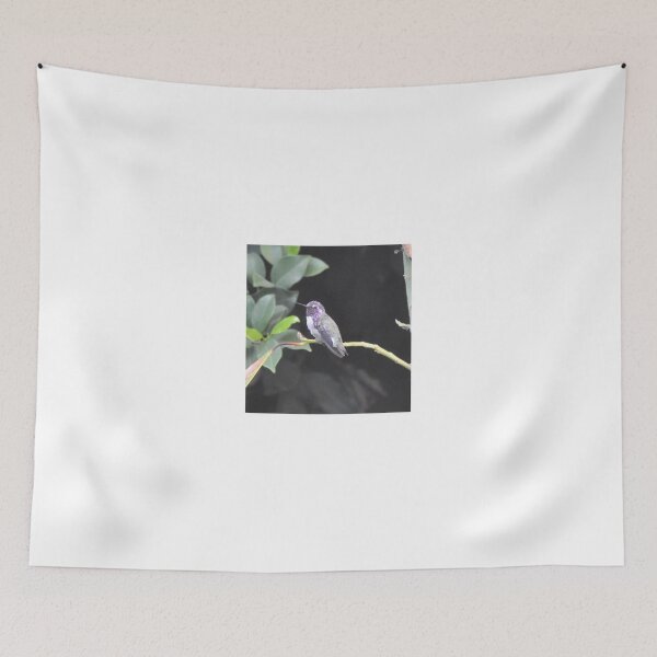Item preview, YOUNG WHITE EARED MALE COSTA'S ON AVOCADO TREE designed and sold by JAYMILO.