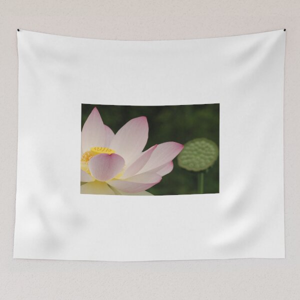 Item preview, pink and green designed and sold by mellychan.
