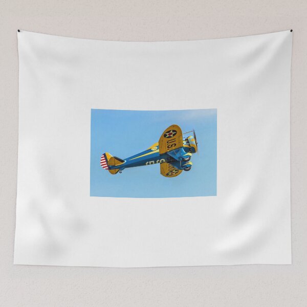Item preview, Boeing P-26A 33-123 N3378G designed and sold by Colin Smedley.