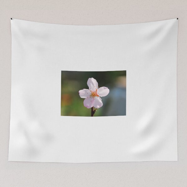 Aperçu de l'œuvre Almond Blossom créée et vendue par jojobob.