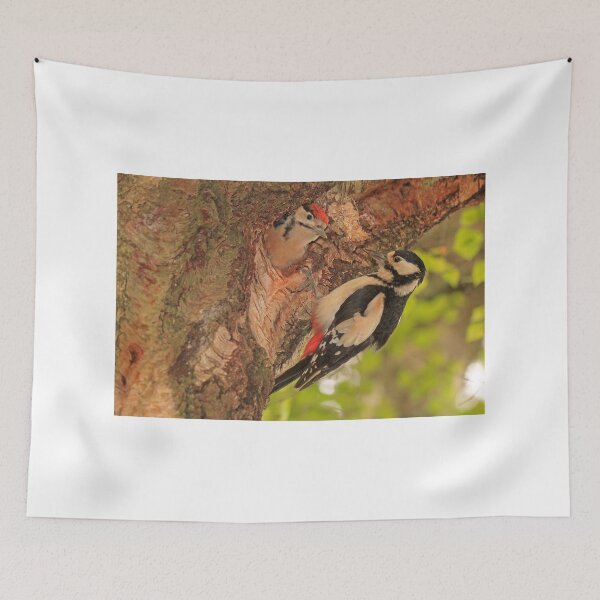 Item preview, Great Spotted Woodpecker (Female) designed and sold by sandysshoots.