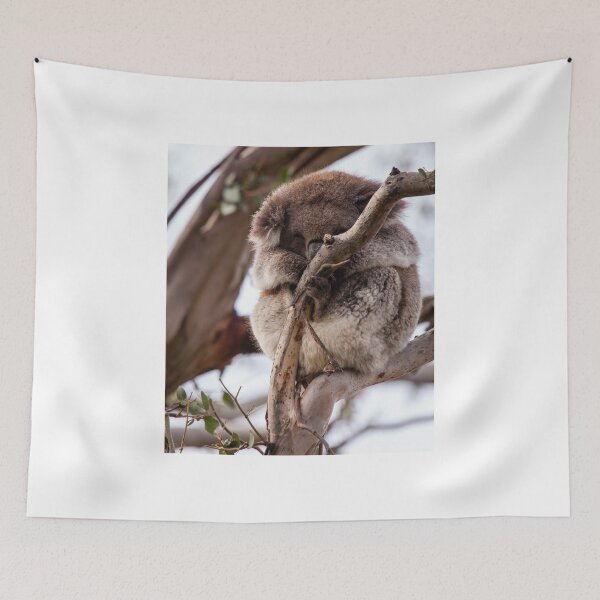 Item preview, Snoozing Koala designed and sold by Natalie Ord.
