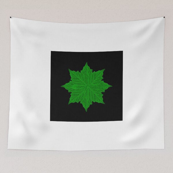 Aperçu de l'œuvre Decorative Ornament Isolated Plants créée et vendue par DFLC Prints.