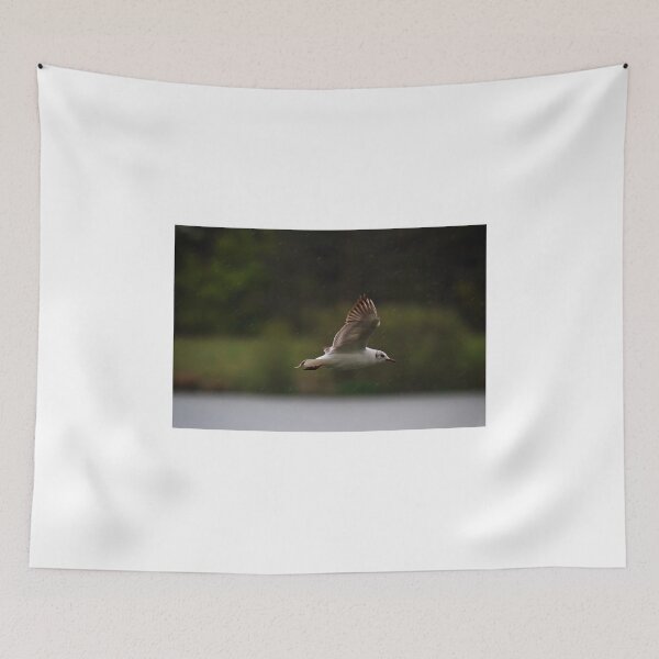 Item preview, Gull flying in rain designed and sold by Violaman.