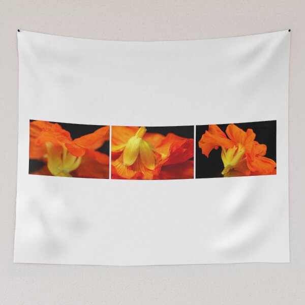 Item preview, Tropaeolum Majus, Kapuzinerkressebluete designed and sold by SmoothBreeze7 | Liz Collet Photography.