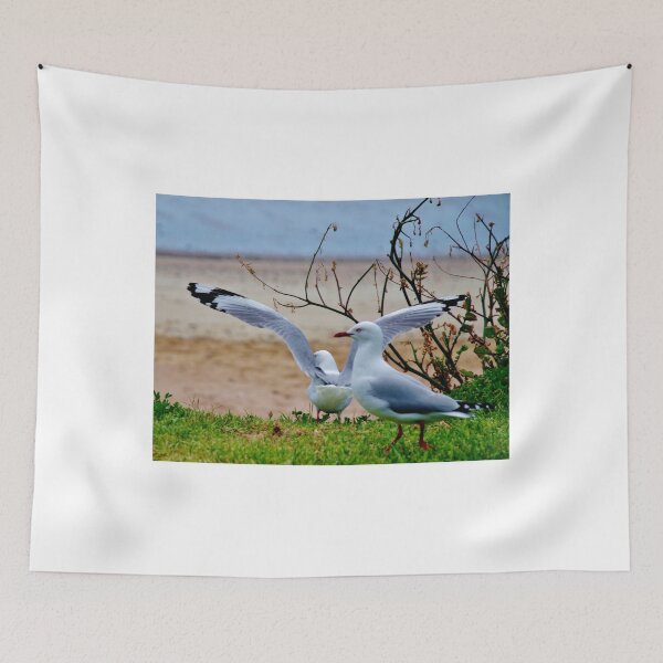 Item preview, Gulls at Te Ngaire designed and sold by lezvee.