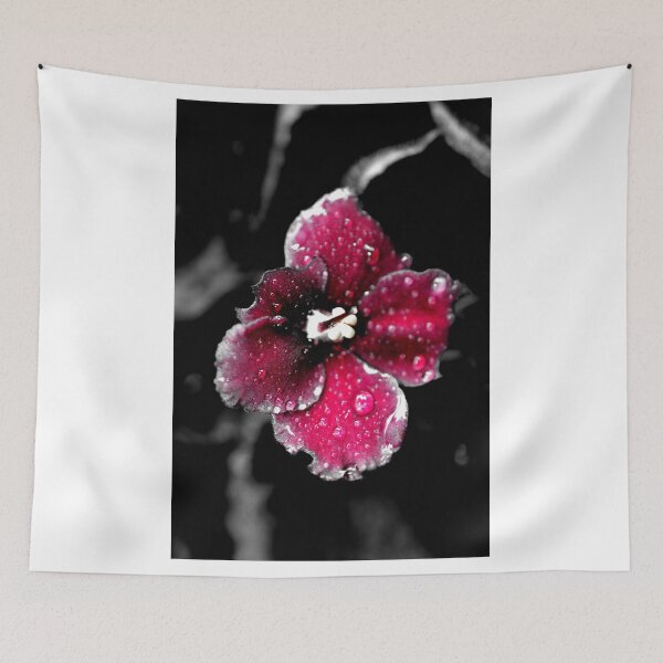 Item preview, african violet designed and sold by paul gavin.
