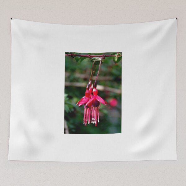 Item preview, Fuchsia (2) designed and sold by lezvee.