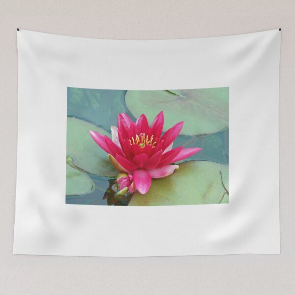 Item preview, Dreaming Away The Summer - Reddish-Pink Water Lily designed and sold by MidnightMelody.