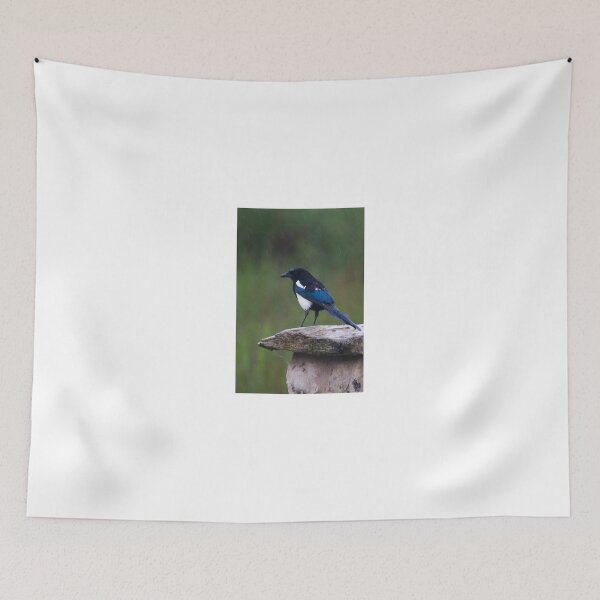 Item preview, Magpie  (pica pica) designed and sold by chris2766.