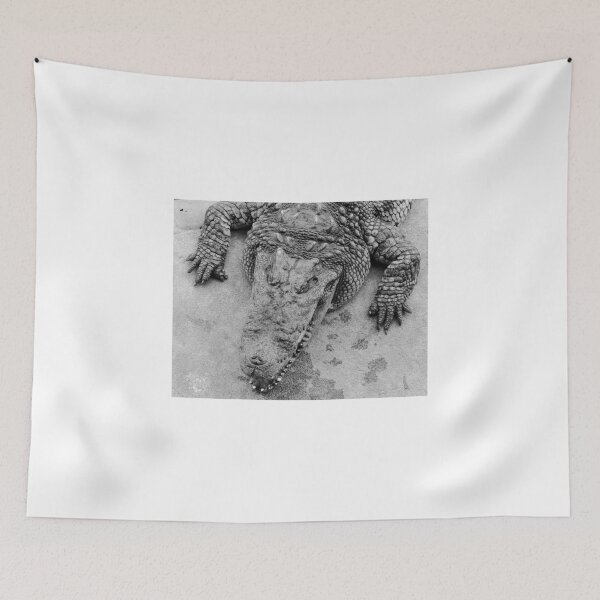 Item preview, Crocodile show  designed and sold by Stanciuc.