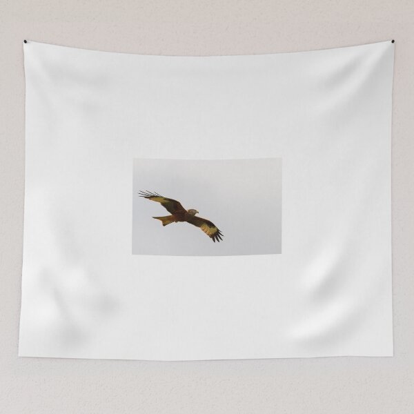 Item preview, Red Kite  (Milvus-milvus) designed and sold by chris2766.