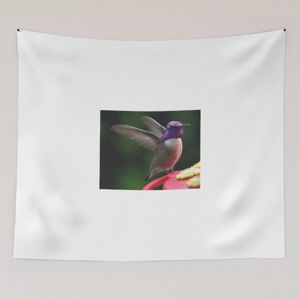 Item preview, MALE HUMMINGBIRD ANNA'S IN ANGEL WING POSE designed and sold by JAYMILO.