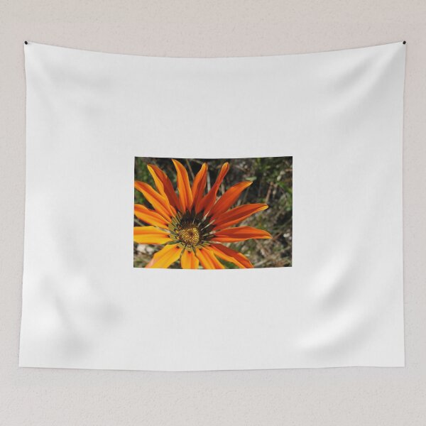 Item preview, Gazania 3 Photograph designed and sold by Heatherian.