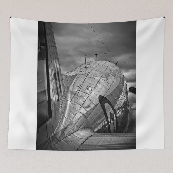Item preview, Airplane from the back designed and sold by Wolf Sverak Photography.