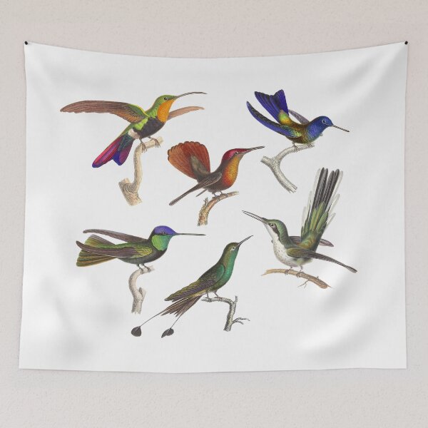 Item preview, Six Hummingbirds Antique Print designed and sold by AntiqueImages.