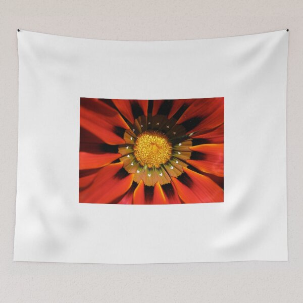 Item preview, Gazania 1 designed and sold by Heatherian.